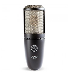 AKG P220 High-Performance Studio Condenser Vocal Microphone 